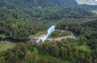 Cuatro horas de carretera para apagar la cabeza: la anatomía de un fin de semana en la sierra que nadie ha gentrificado Abismo del Cerro Cabezón en Tlatlauquitepec cubierto por un banco espeso de neblina serrana al atardecer